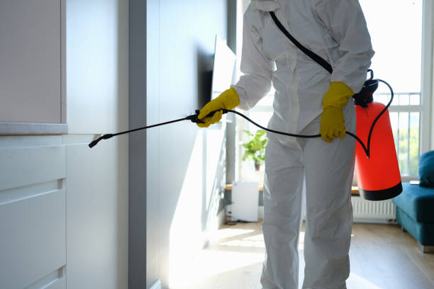 Best Professional Mold Removal  in Halls, TN